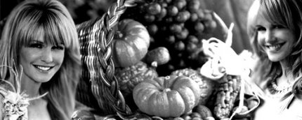 Wallpaper by Icywinter banner_031_500x200_icywinter