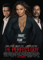 The Perfect Guy poster poster_005