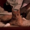 He only needs one eye to see through you! Cold_Case_s03e11_1080p_146