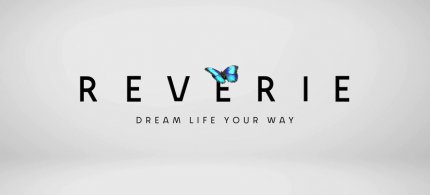 Reverie artwork artwork_006